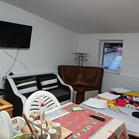 Sara 3 Dormitoare Nu Primesc Santieristi Si Petrecareti Vila Bucareste Exterior foto