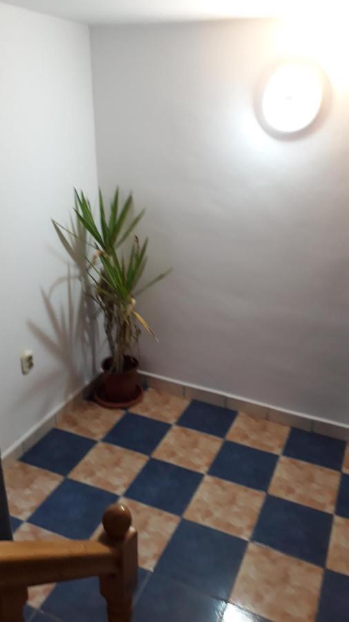 Sara 3 Dormitoare Nu Primesc Santieristi Si Petrecareti Vila Bucareste Exterior foto