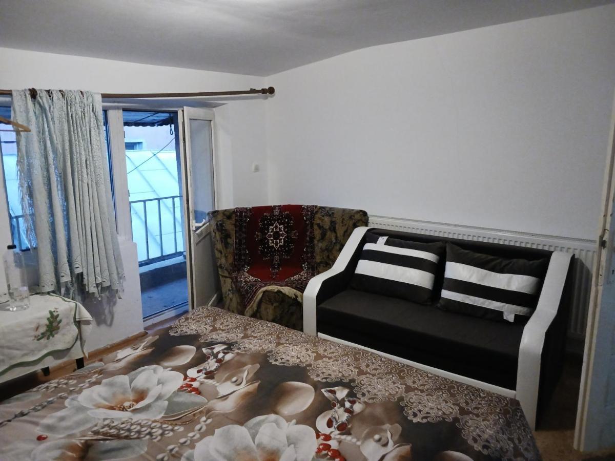 Sara 3 Dormitoare Nu Primesc Santieristi Si Petrecareti Vila Bucareste Exterior foto
